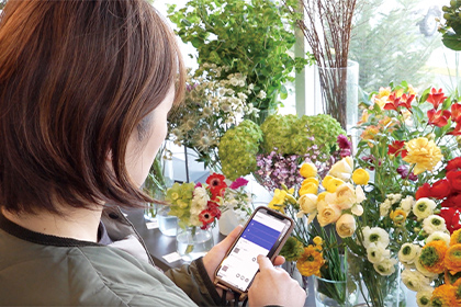 注文の基本情報はテキストデータで入力デザインなどは画像で登録