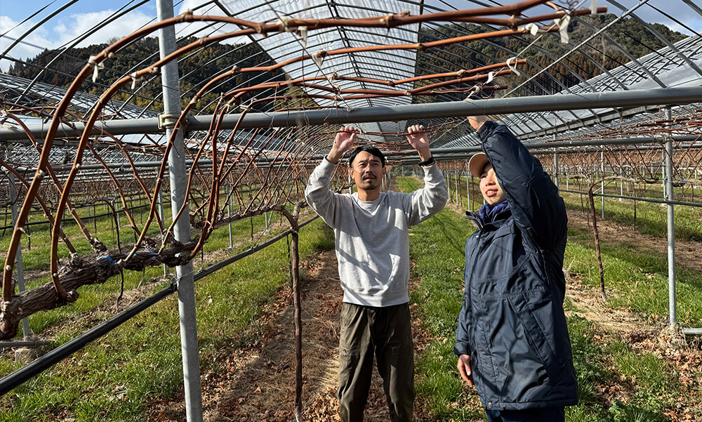 熊本ワインファーム