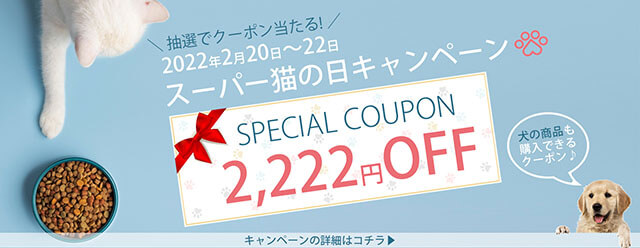 SPECIAL COUPON 2,222円 OFF