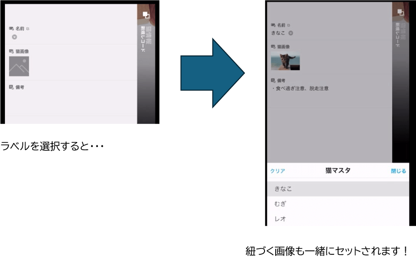 ラベルを選択すると、紐付く画像も一緒にセットされます!