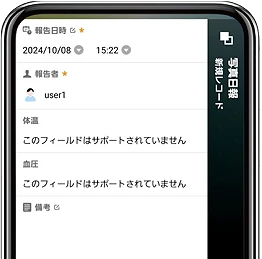 Platioアプリ内メッセージ「このフィールドはサポートされていません」